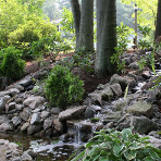 About Metrowest Water Gardens